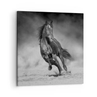 50x50 cm | Štvorcový