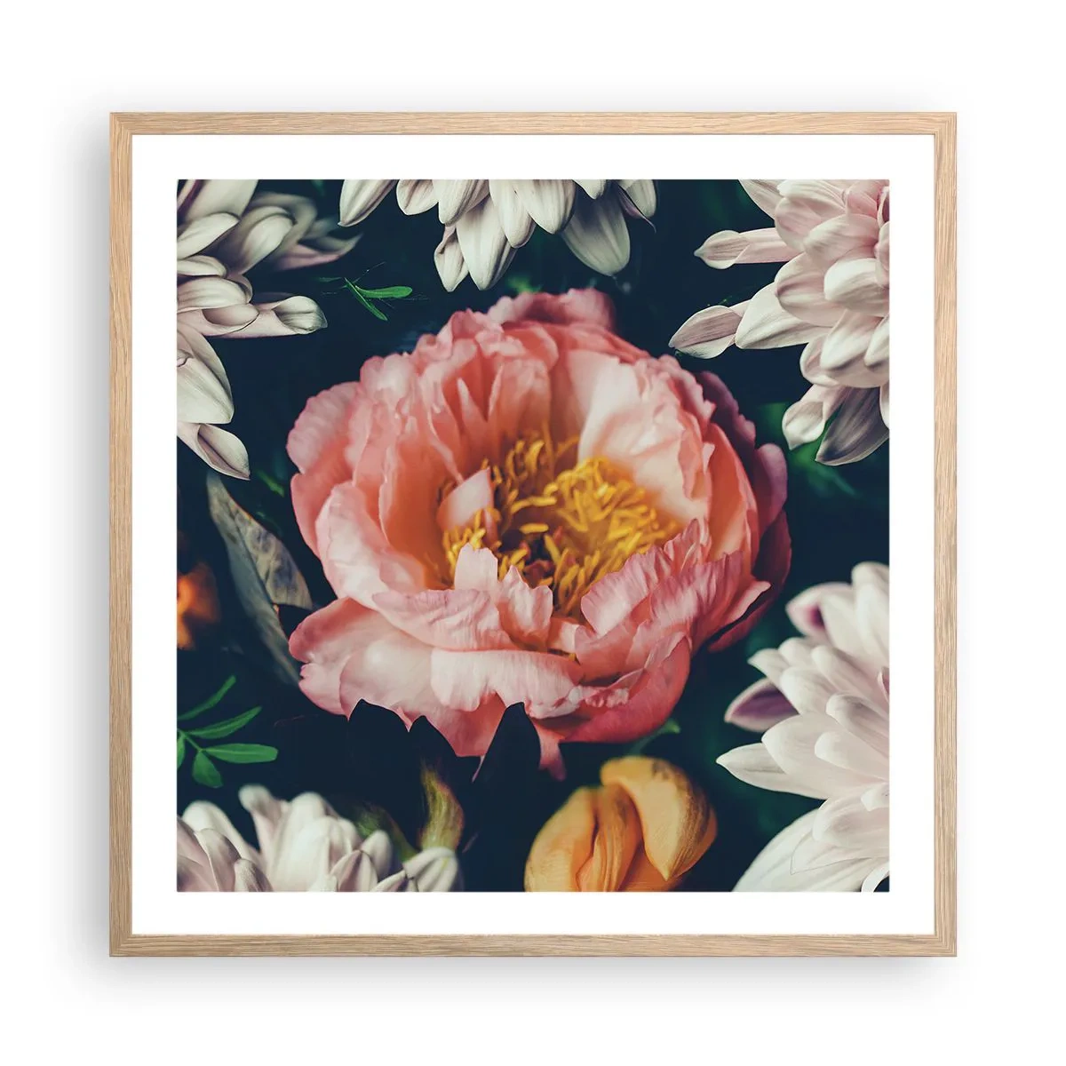 Plagát v ráme zo svetlého duba - S barokovým prepychom - 60x60 cm