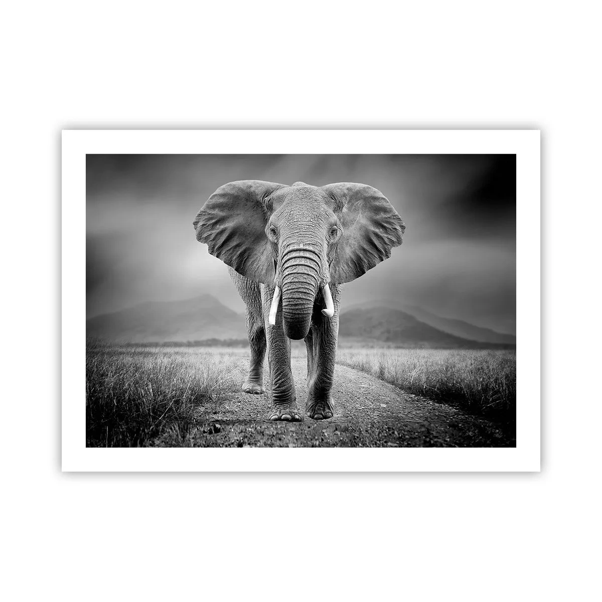 Plagát - Hostiteľ víta - 70x50 cm