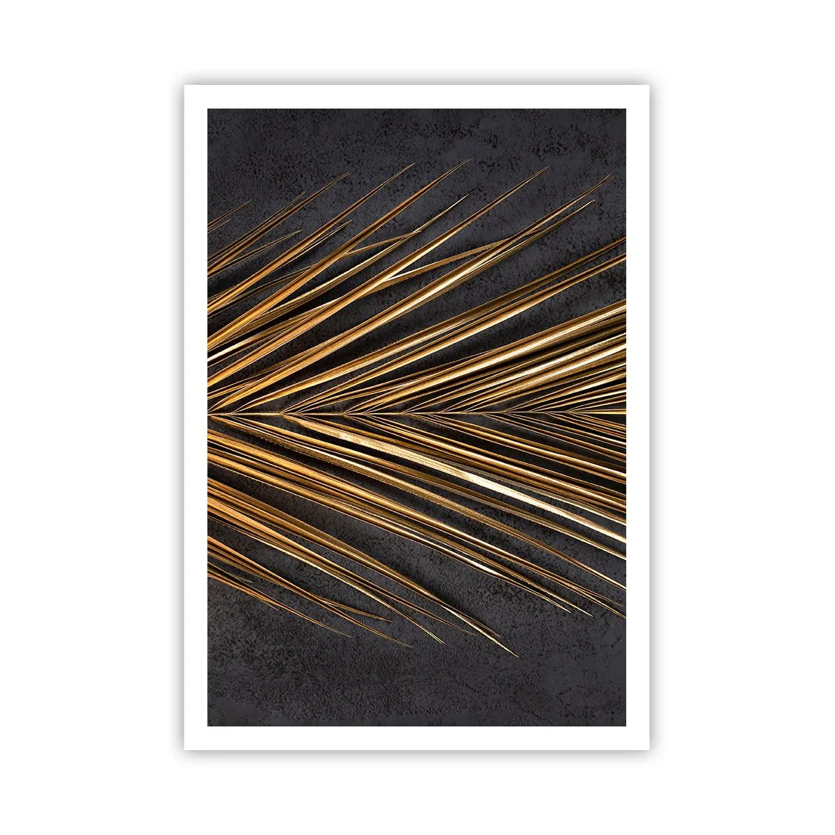 Plagát - Zlato trópov - 70x100 cm
