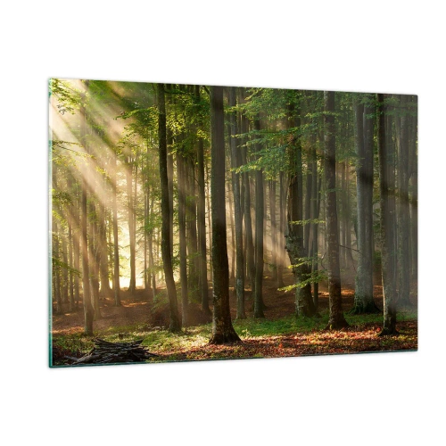 Obraz na skle - Rozžiarený v jarnom ráne - 120x80 cm