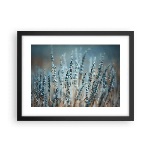 Plagát v čiernom ráme - Voňavý lán - 40x30 cm