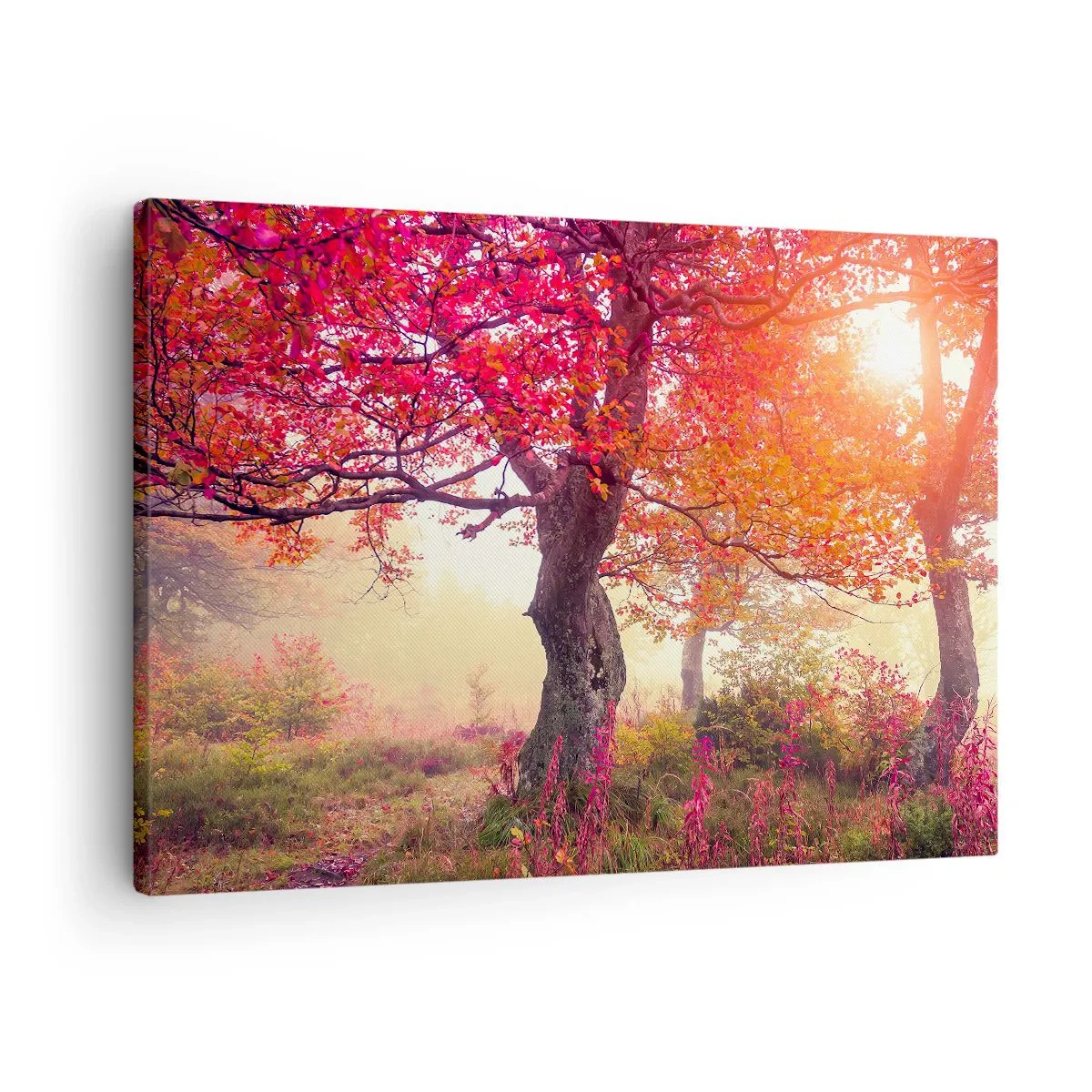 Obraz na plátne - Jesenná krajina so stromami v intenzívnych farbách - 70x50cm - Šialenstvo rozkvetu - Moderná nástenná dekorácia do obývacej izby a spálne ARTTOR