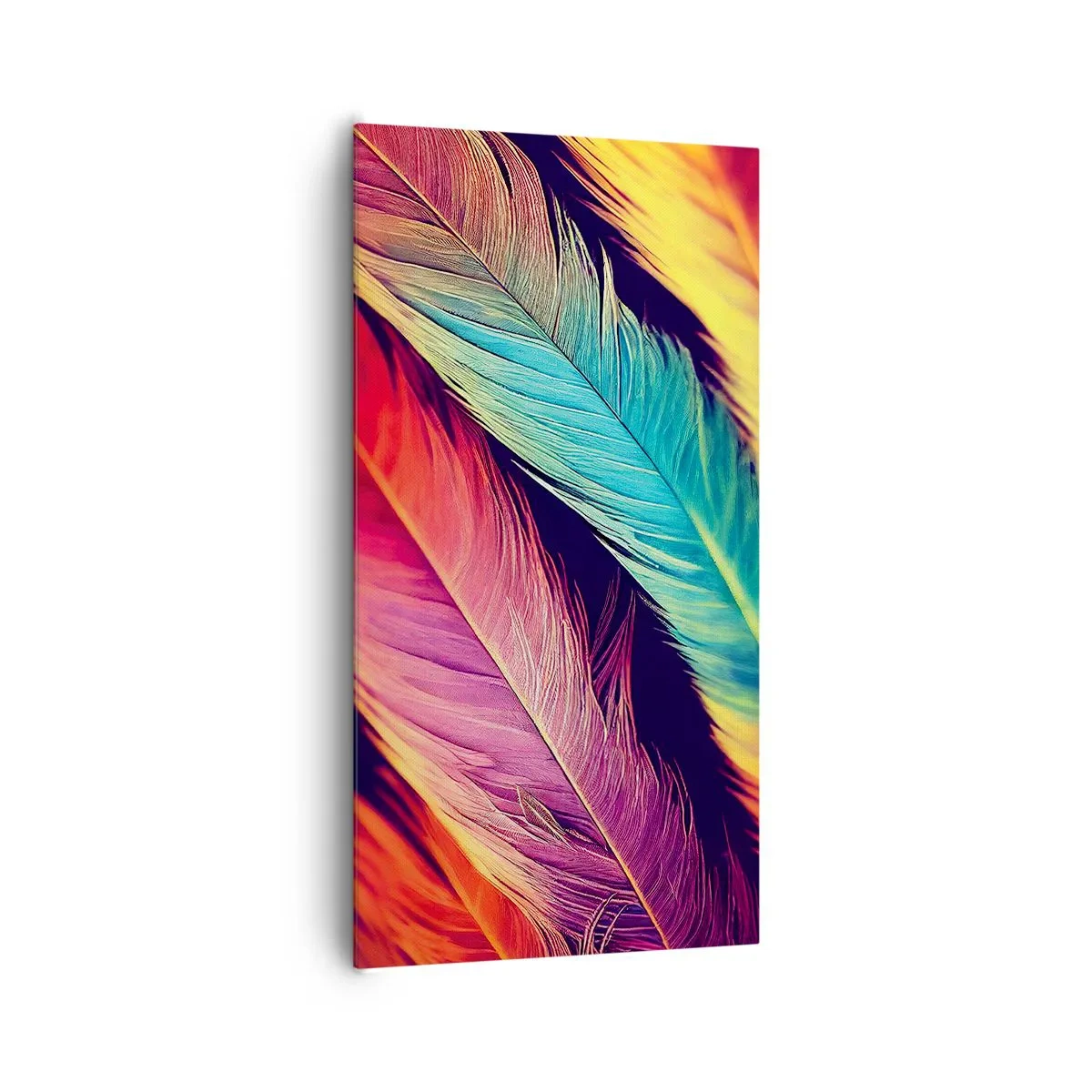 Obraz na plátne - Operená dúha - 65x120 cm