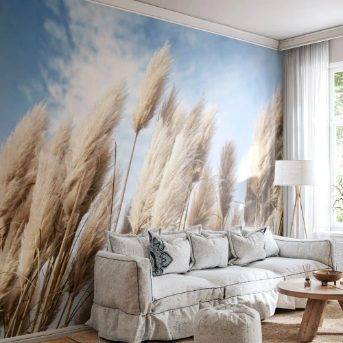 Fototapeta na mieru Premium Sand - Slnečné a veterné pohladenie - Pampasová tráva, Príroda, Boho