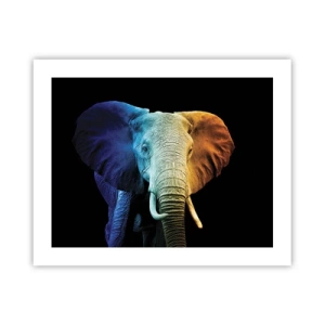 Plagát - Excentrický muž, avšak nie podivín - 50x40 cm