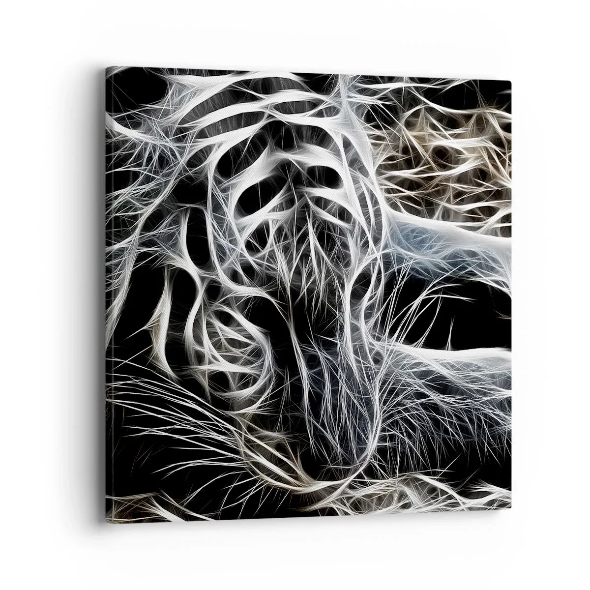 Obraz na plátne - Štúdia mačacej ľahkosti - 40x40 cm