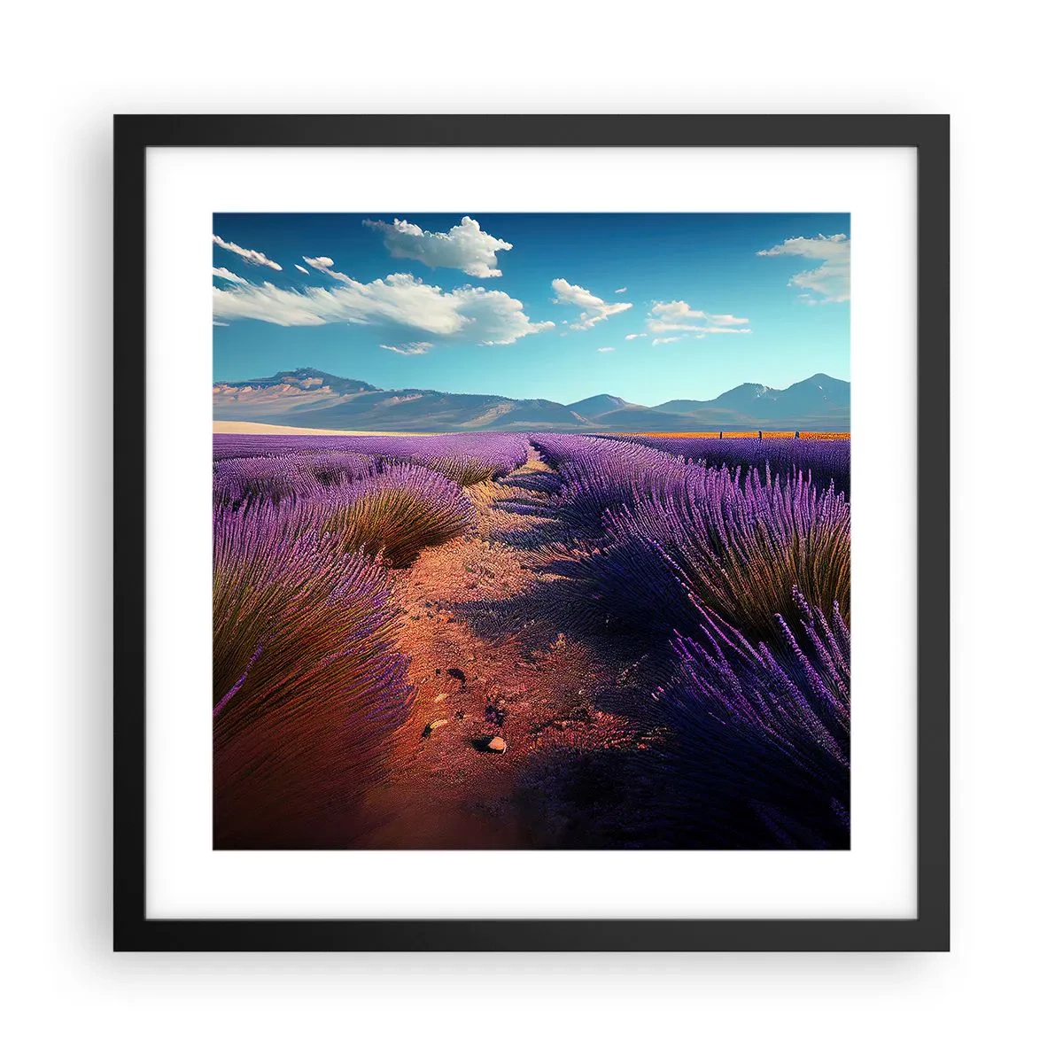 Plagát v čiernom ráme - Voňavé polia - 40x40 cm