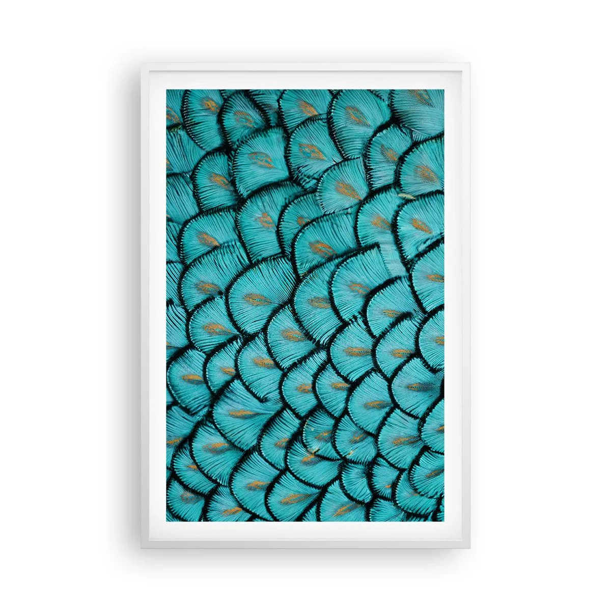 Plagát v bielom ráme - Veľká slávnosť peria - 61x91 cm