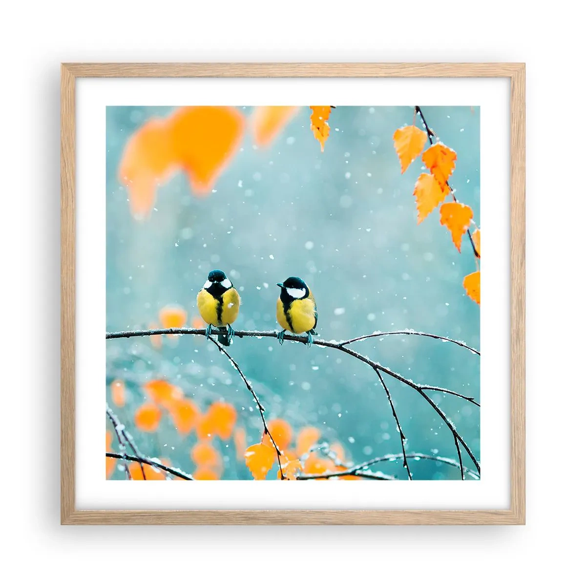 Plagát v ráme zo svetlého duba - Vtáčie klebety - 50x50 cm