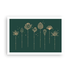 Plagát - Bylinky - 91x61 cm