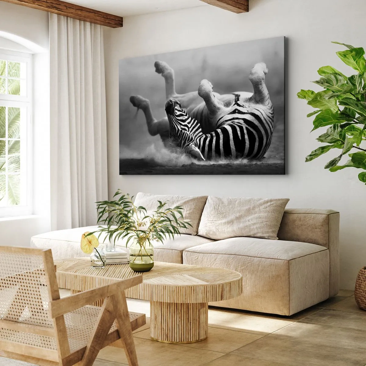 Obraz na plátne - Čierna a biela zebra sa váľa v piesku - 70x50cm - Je to na roztrhanie - Moderná nástenná dekorácia do obývacej izby a spálne ARTTOR