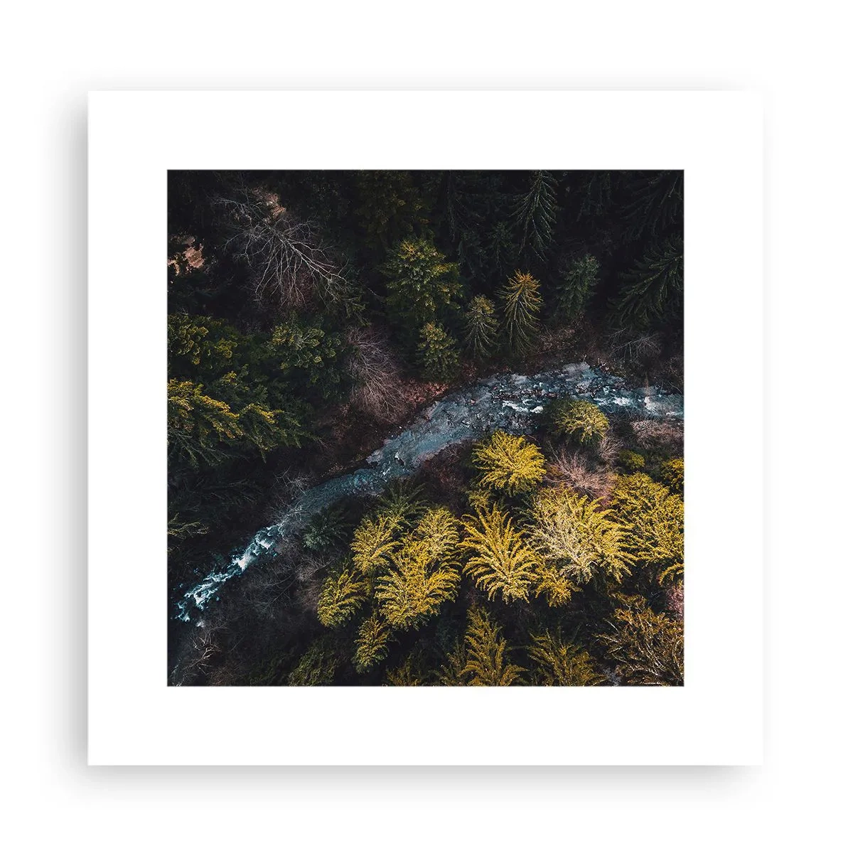 Plagát - Rýchlo, stále rýchlejšie - 30x30 cm
