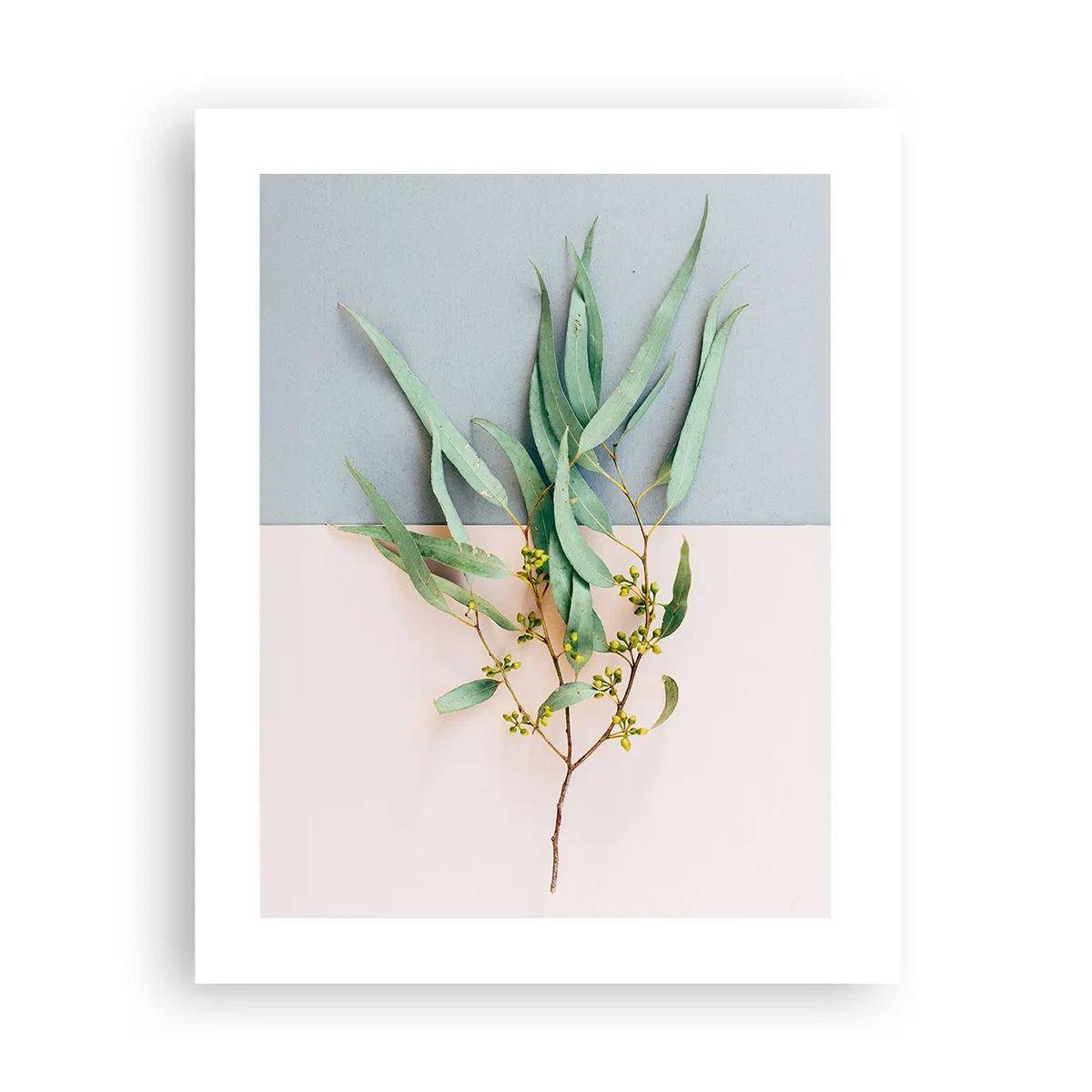 Plagát - Pastelová jemnosť - 40x50 cm