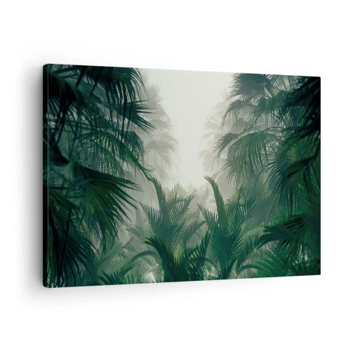 Obraz na plátne - Tropická vegetácia v hustej hmle dažďového pralesa - 70x50cm - Tropická záhada - Moderná nástenná dekorácia do obývacej izby a spálne ARTTOR