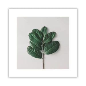 Plagát - Kresba samotnej prírody - 30x30 cm