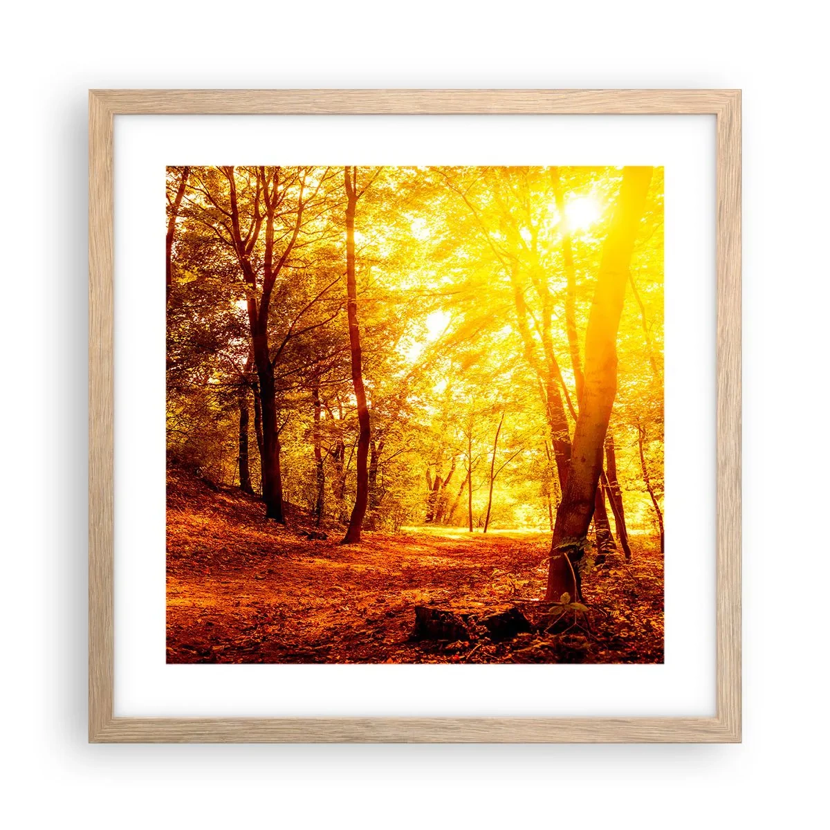 Plagát v ráme zo svetlého duba - K zlatej čistinke - 40x40 cm