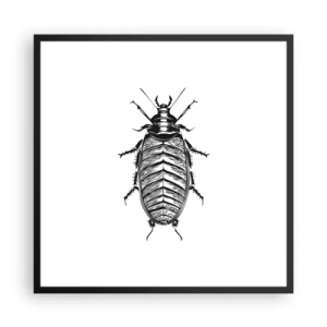 Plagát v čiernom ráme - Vzorový exemplár! - 60x60 cm