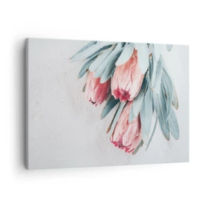 Obraz na plátne - Jemné ružové kvety protey na svetlom pozadí - 70x50cm - Zahanbené svojou vlastnou krásou - Moderná nástenná dekorácia do obývacej izby a spálne ARTTOR