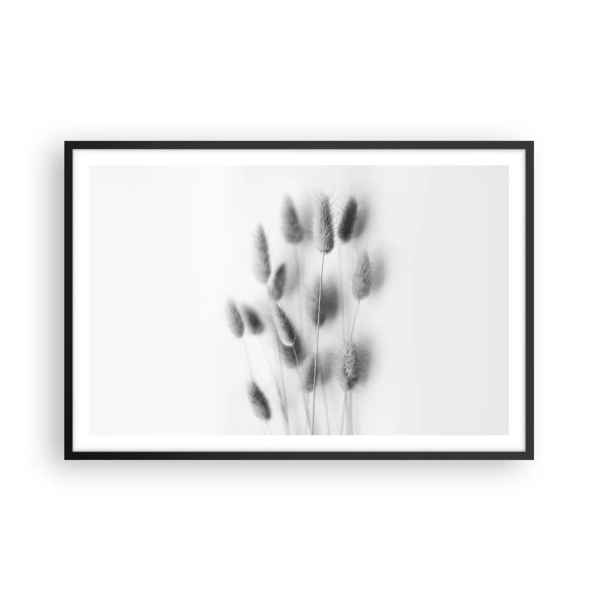 Plagát v čiernom ráme - Našuchorená tráva - 91x61 cm