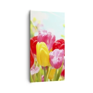 Obraz na plátne - To sme my, farby mája! - 65x120 cm