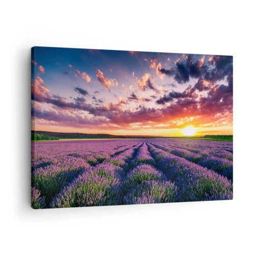 Obraz na plátne - Levanduľové pole pri západe slnka s farebnou oblohou - 70x50cm - Levanduľový svet - Moderná nástenná dekorácia do obývacej izby a spálne ARTTOR