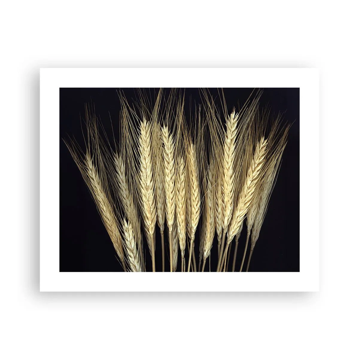 Plagát - Rustikálna mágia - 50x40 cm