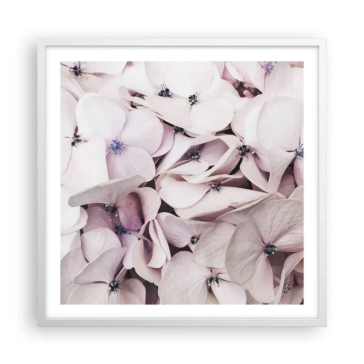 Plagát v bielom ráme - V záplave kvetov - 60x60 cm