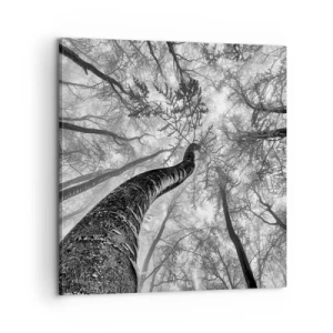 Obraz na plátne - Závod ku svetlu - 60x60 cm