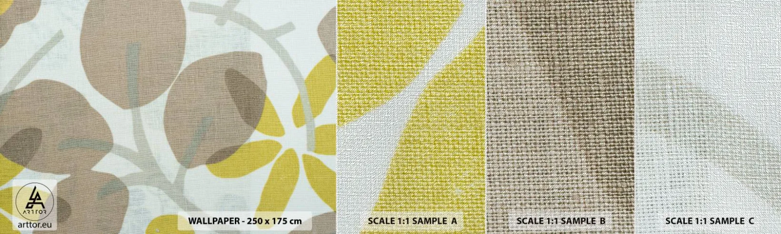 Vzorka fototapety Premium Canvas - Kompozícia v plnom slnku - Boho, Kvety, Minimalizmus - 100x30 cm