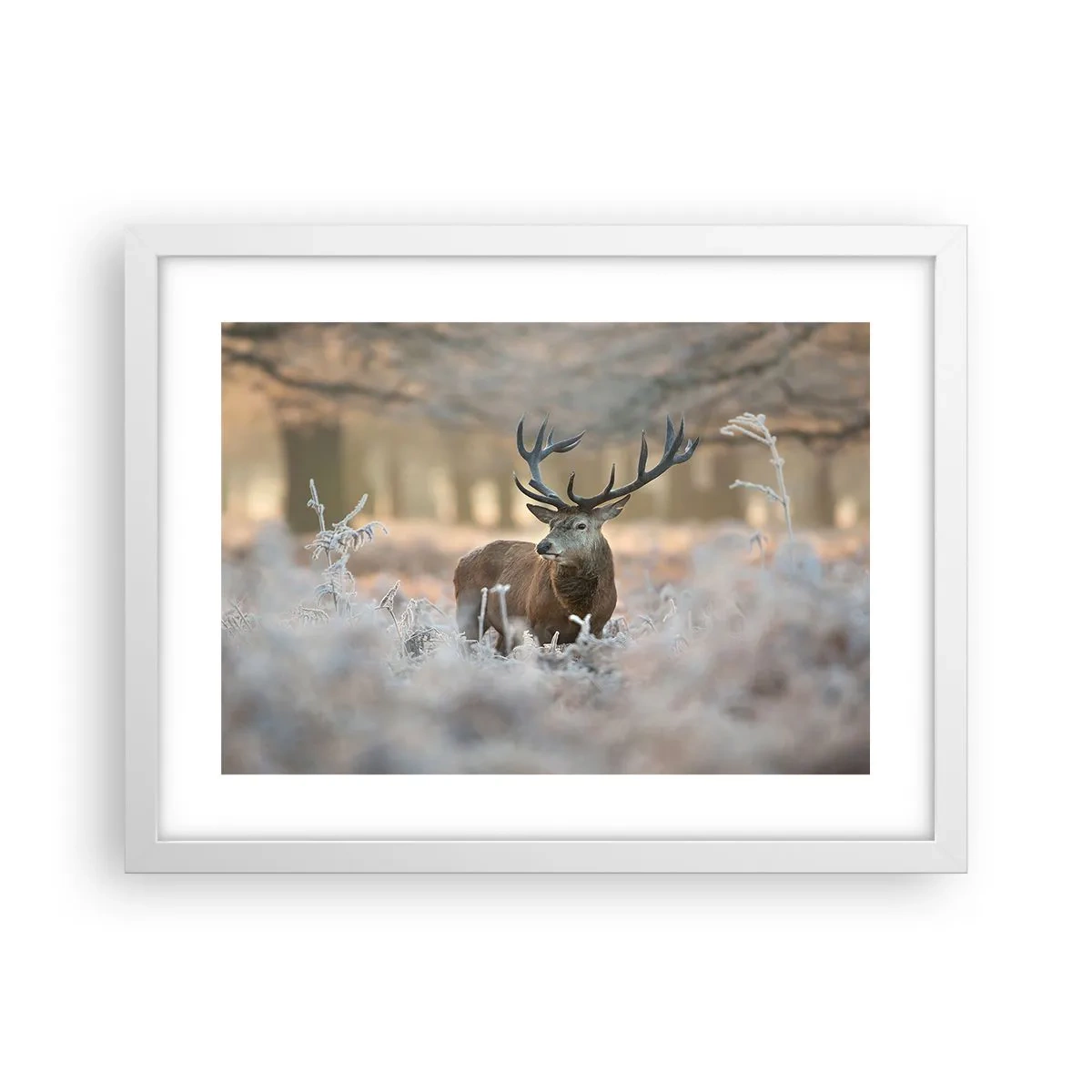 Plagát v bielom ráme - Svieže ráno - 40x30 cm