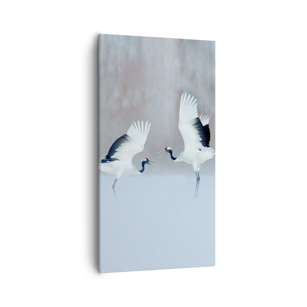 Obraz na plátne - Tanec v hmle - 55x100 cm