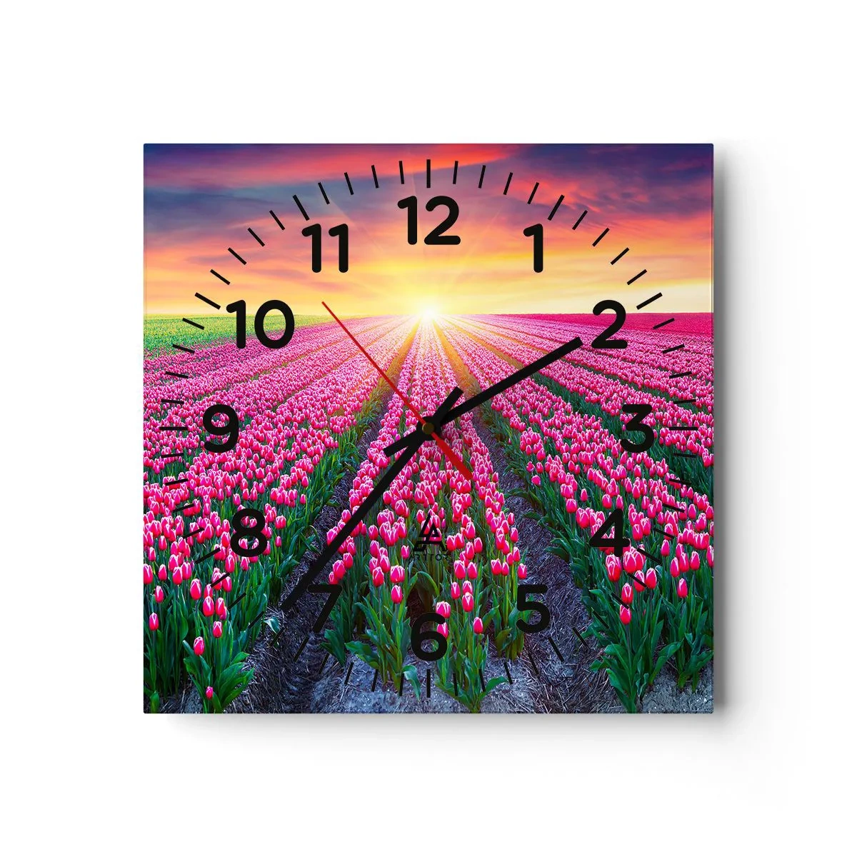 Nástenné hodiny - Farma krásy - 40x40 cm