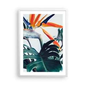 Plagát v bielom ráme - Vtáker - 50x70 cm