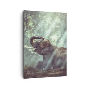 Obraz na plátne - A počuj toto… - 50x70 cm