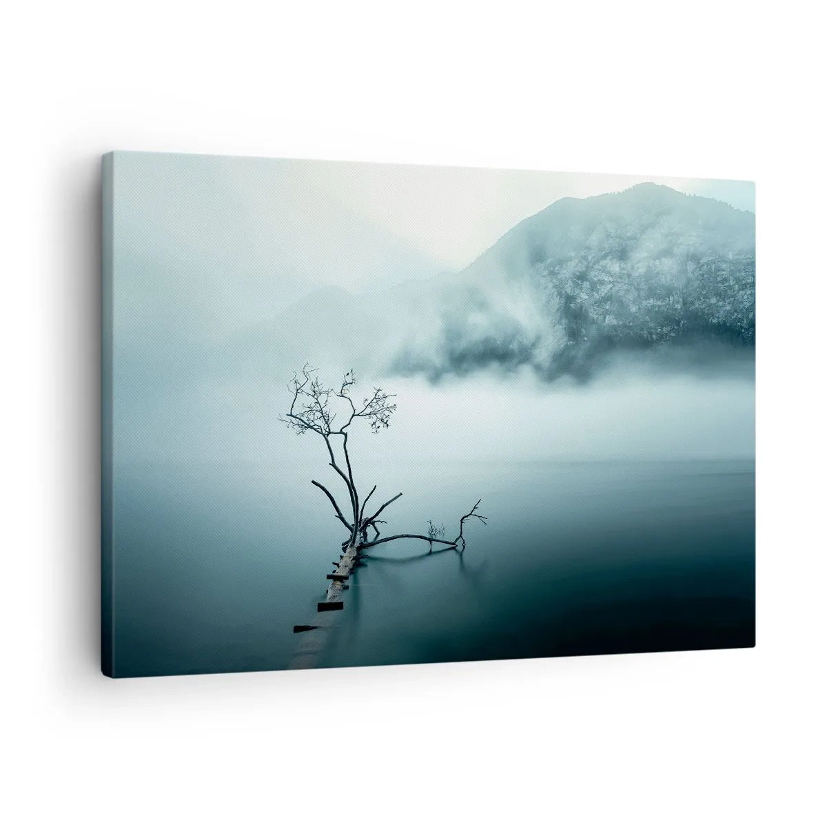 Obraz na plátne - Osamelý strom vo vode obklopený hmlou a horami - 70x50cm - Z vody a hmly - Moderná nástenná dekorácia do obývacej izby a spálne ARTTOR
