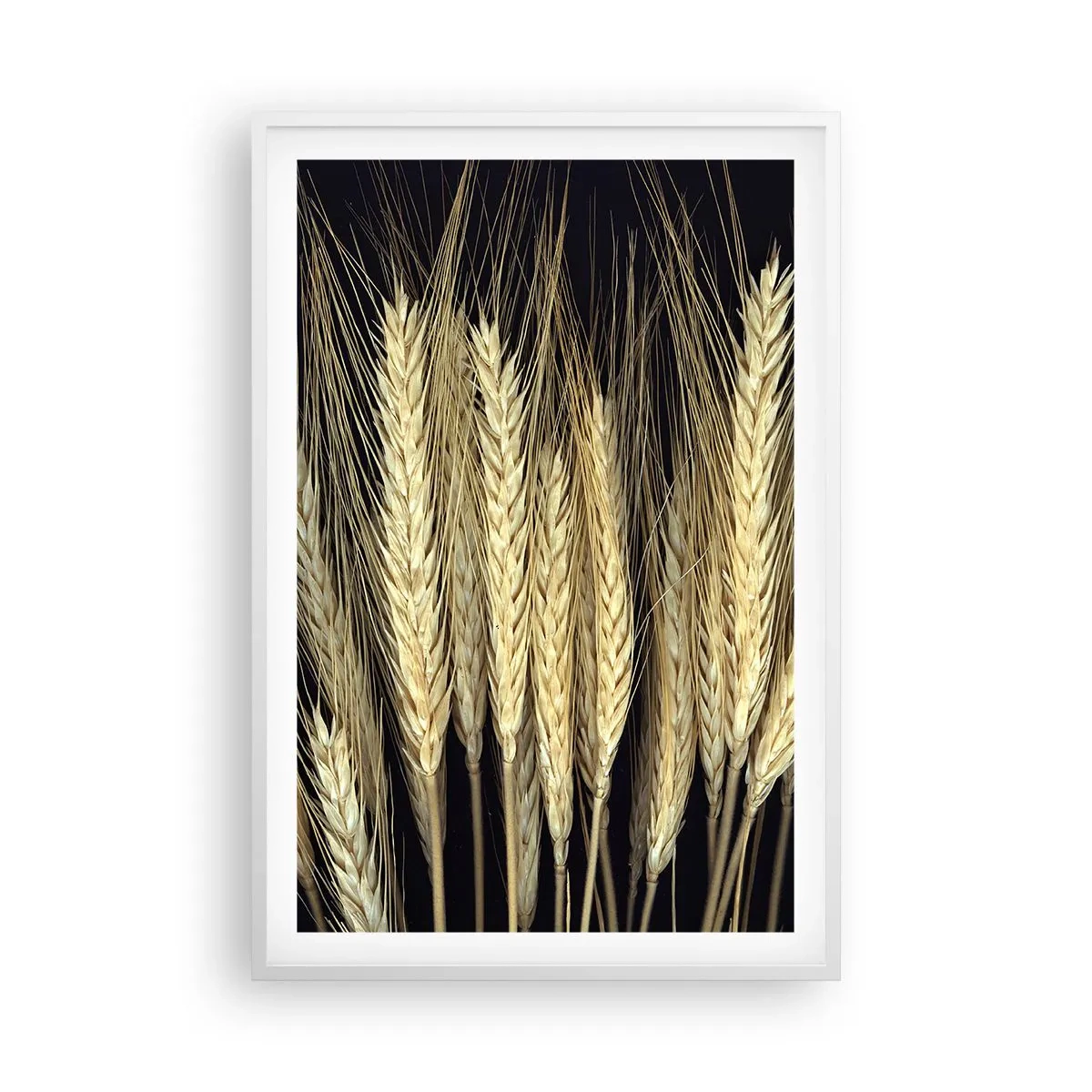 Plagát v bielom ráme - Rustikálna mágia - 61x91 cm