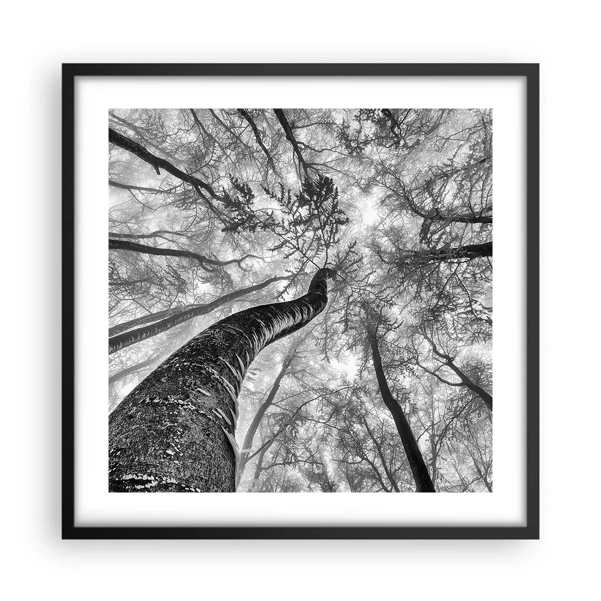 Plagát v čiernom ráme - Závod ku svetlu - 50x50 cm