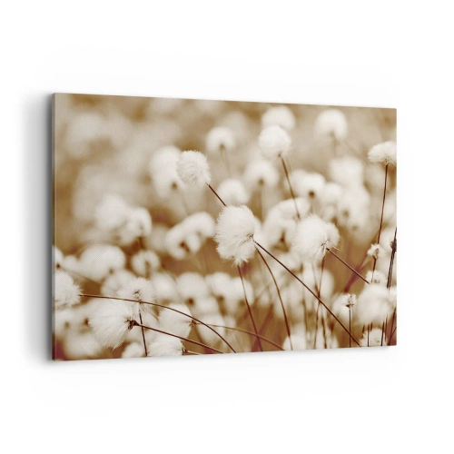 Obraz na plátne - Chlpatý lán - 100x70 cm