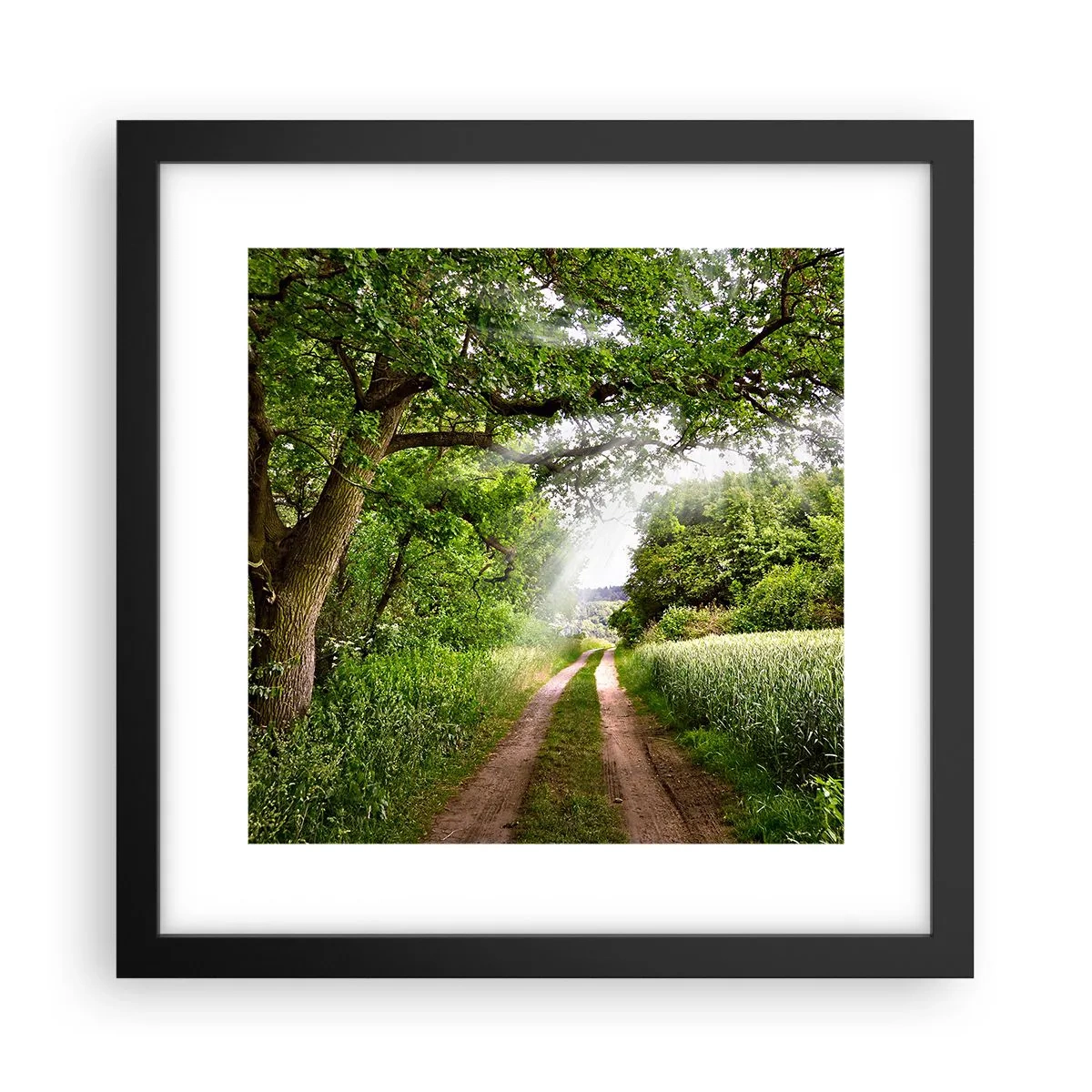 Plagát v čiernom ráme - Et in Arcadia ego - 30x30 cm