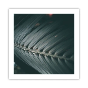 Plagát - Presnosť prírody - 50x50 cm