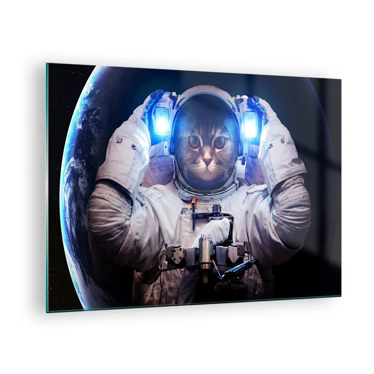 Obraz na skle - Kozmonaut s mačacou hlavou vo vesmíre - 70x50cm - Houston, máte problém - Moderná nástenná dekorácia do obývacej izby a spálne ARTTOR