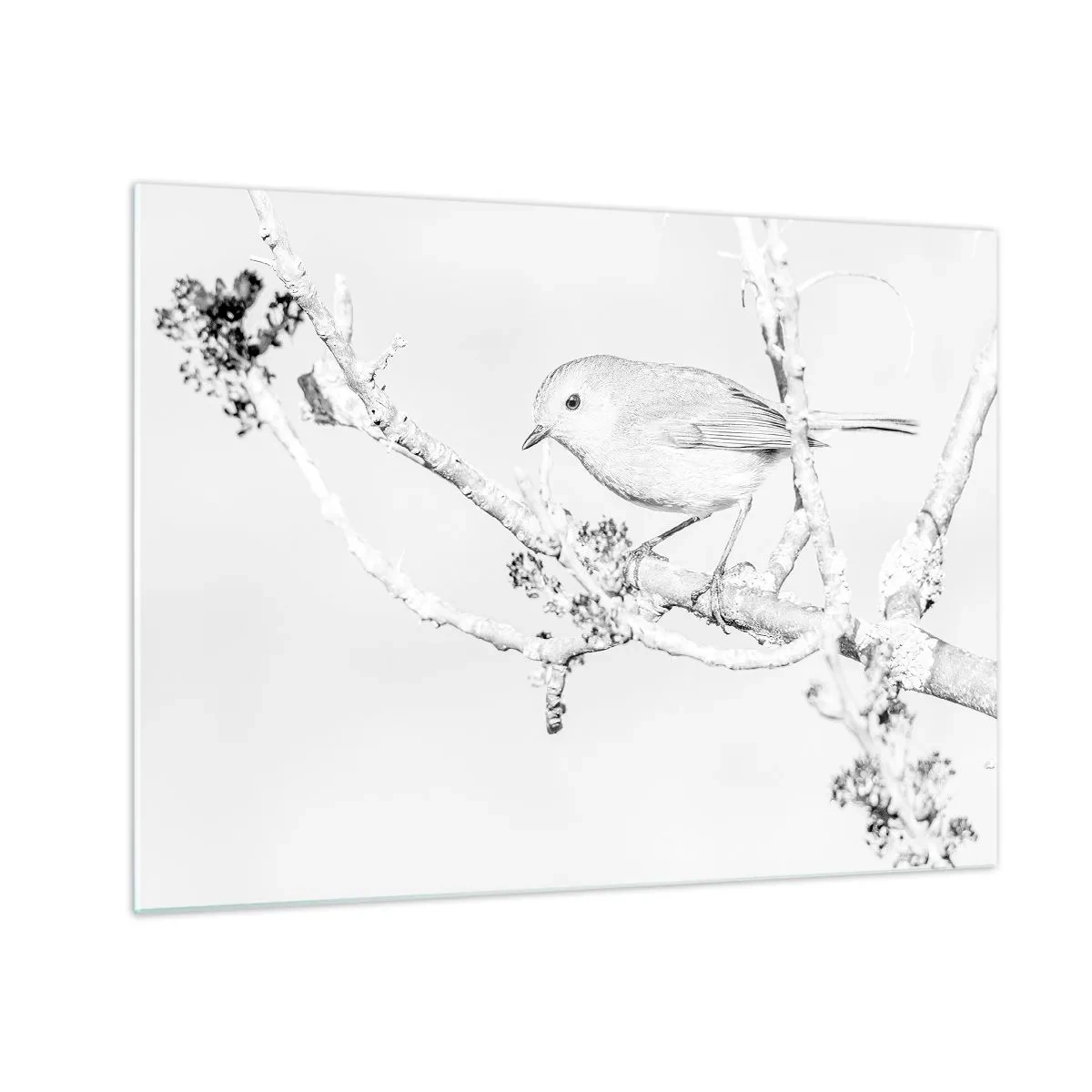 Obraz na skle - Vták sediaci na konári v monochromatickej zimnej scéne. - 70x50cm - Zimné ráno - Moderná nástenná dekorácia do obývacej izby a spálne ARTTOR