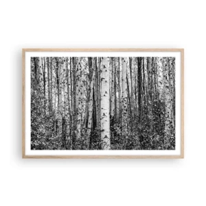 Plagát v ráme zo svetlého duba - Brezová kolonáda - 91x61 cm