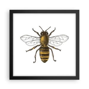 Plagát v čiernom ráme - Krásna a dobrá - 30x30 cm