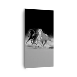Obraz na plátne - Cval slobody - 65x120 cm