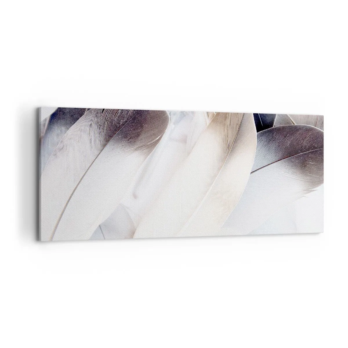 Obraz na plátne - Takmer anjelské - 120x50 cm