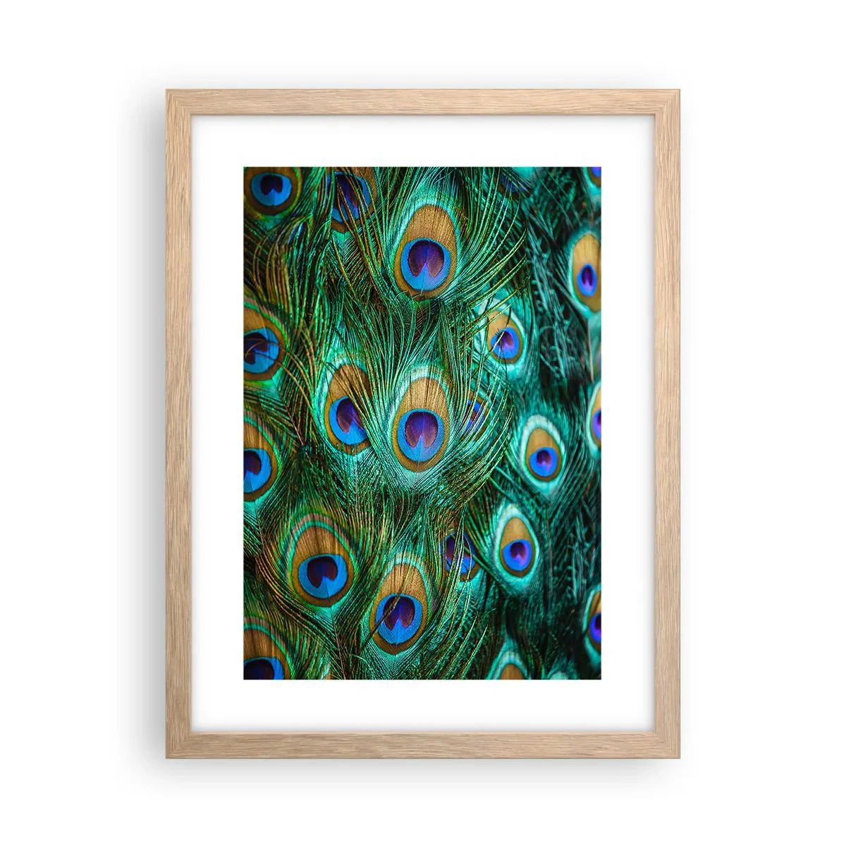 Plagát v ráme zo svetlého duba - Páví pohľad - 30x40 cm