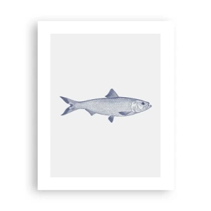 Plagát - Pozdravy zo severných morí - 40x50 cm