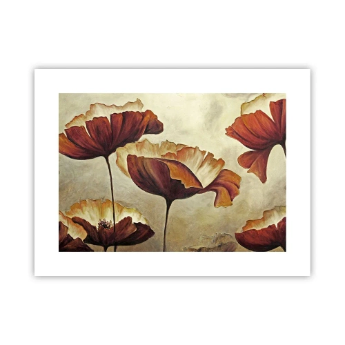 Plagát - Lán lúky - 40x30 cm